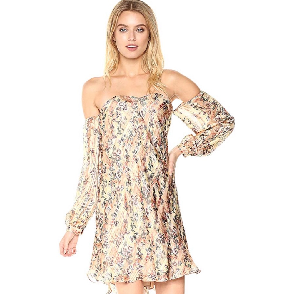 NWT Haute Hippie My Amour Silk Dress Sandra 6